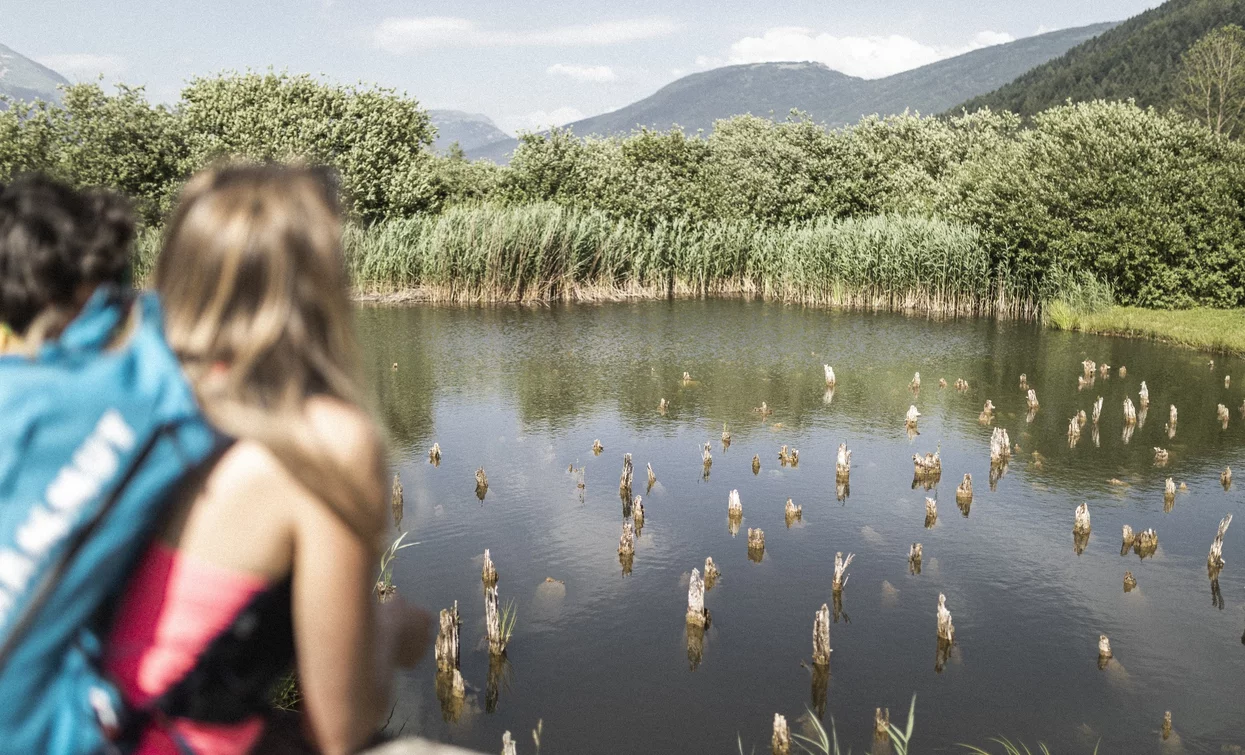 Il sito archeologico di Fiavé | © Archivio Garda Trentino (Watchsome), Garda Trentino 