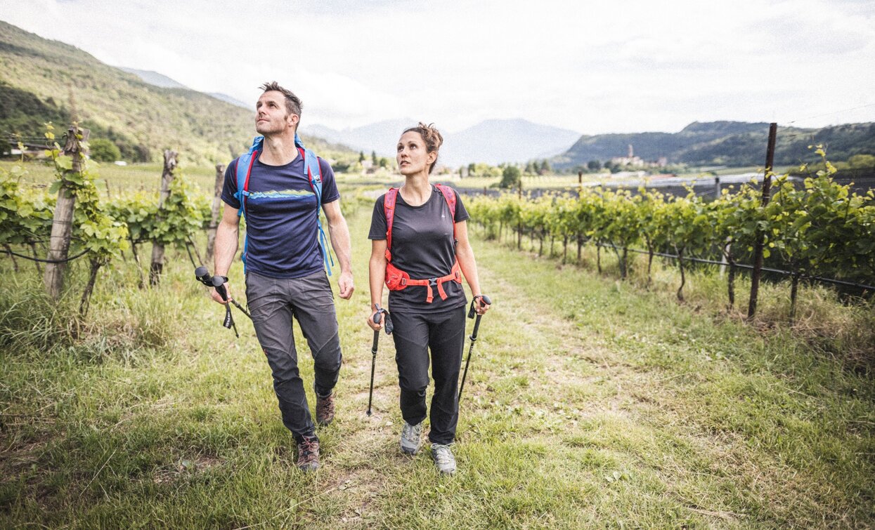 Coltivi della Nosiola | © Armin Huber, Garda Trentino 