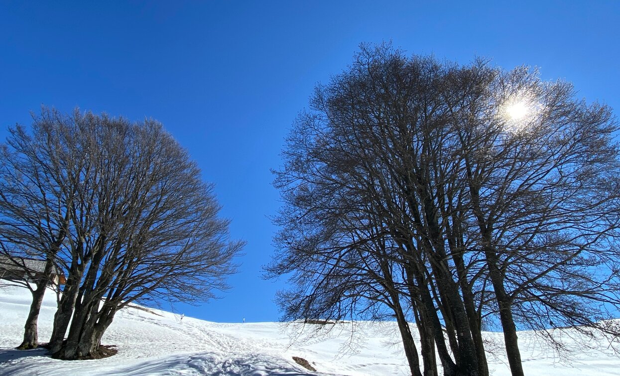 © ApT Rovereto Vallagarina Monte Baldo, Garda Trentino
