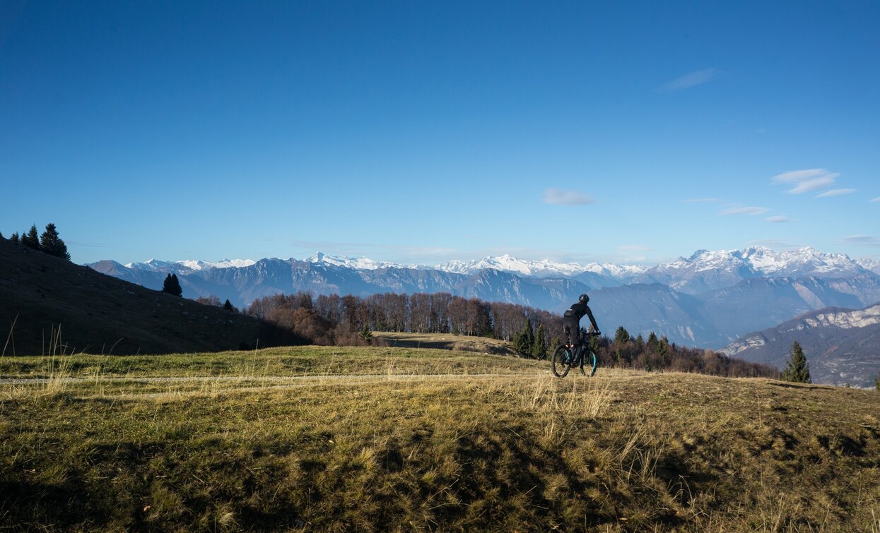 Meadows at Malga Campei | © Archivio Garda Trentino (ph. Marco Giacomello), North Lake Garda Trentino 
