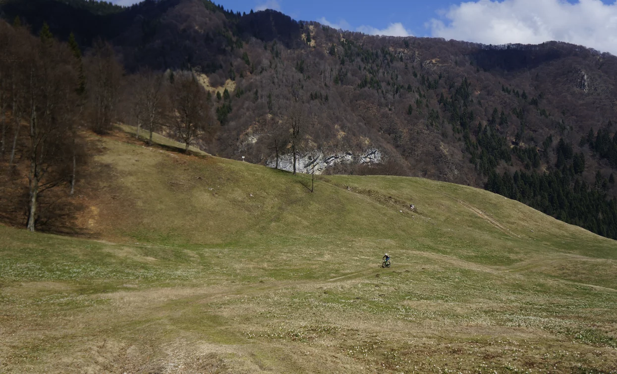 The meadows next to Malga Grassi | © Archivio Garda Trentino (ph. Marco Giacomello), Garda Trentino 