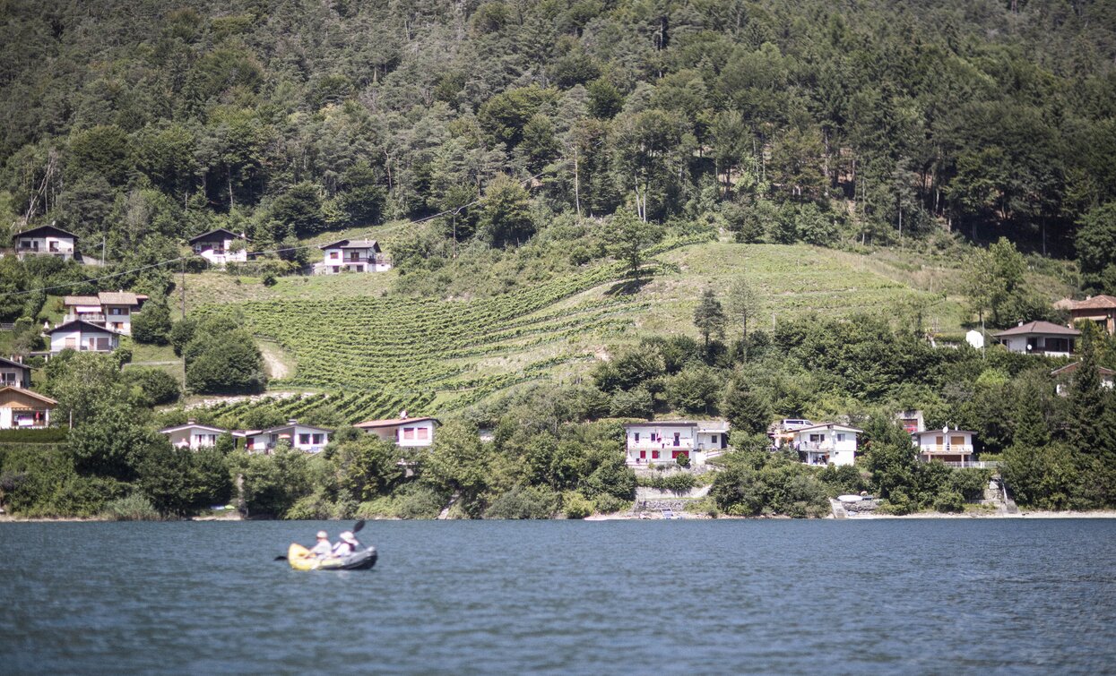 Vigneti a Pur sulle sponde del Lago di Ledro | © Archivio Garda Trentino (ph. Watchsome), North Lake Garda Trentino 