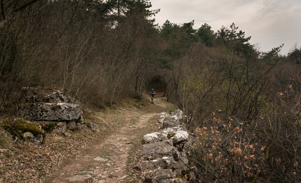 Sentiero verso le Marocche di Dro, coi tipici colori di marzo | © M. Giacomello, Garda Trentino 