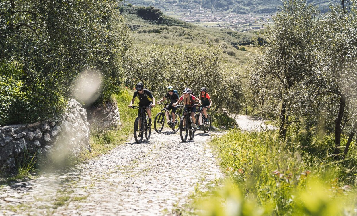 Anstieg nach Tenno | © Archivio Garda Trentino (ph. Watchsome), Garda Trentino 