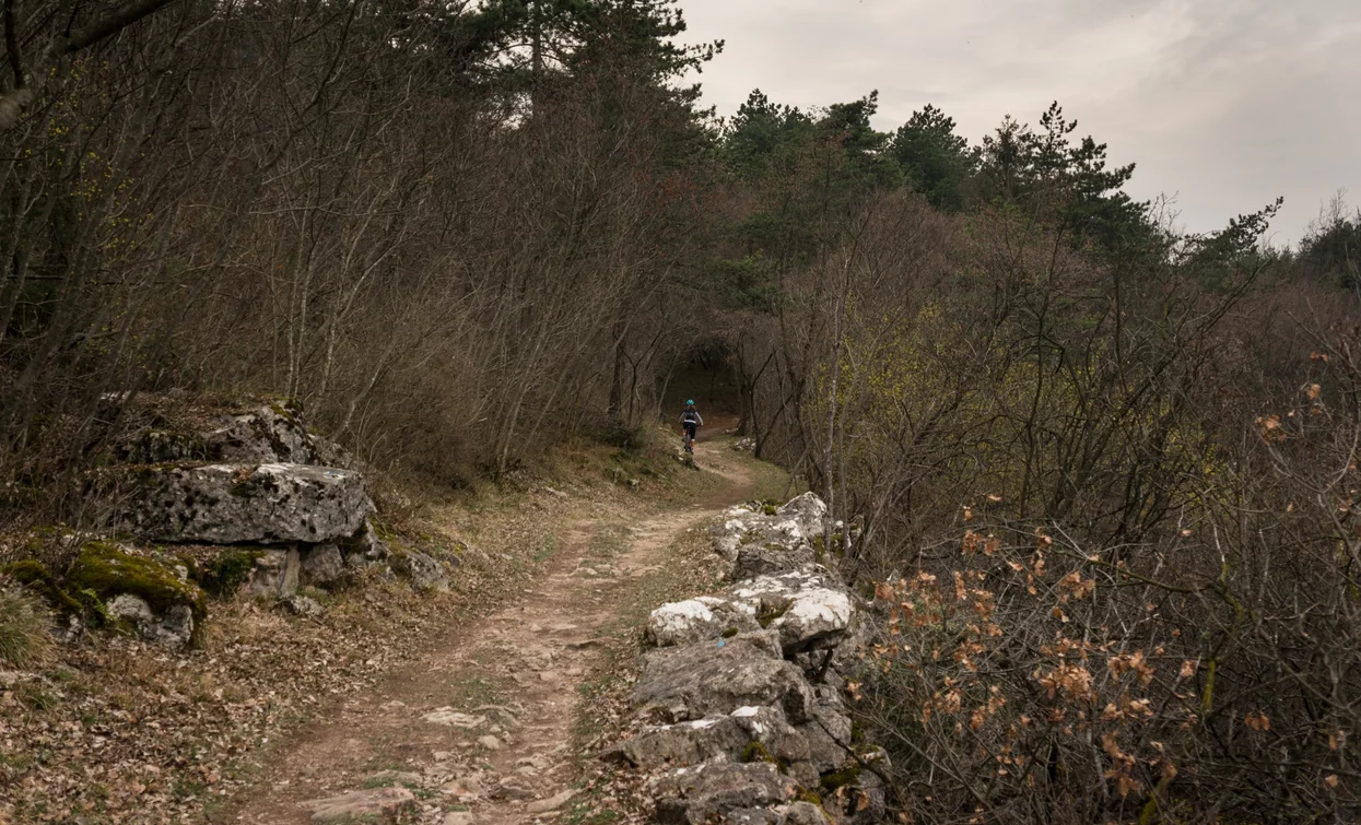 Il percorso verso le Marocche di Dro, con i colori tipici di marzo | © M. Giacomello, Garda Trentino 