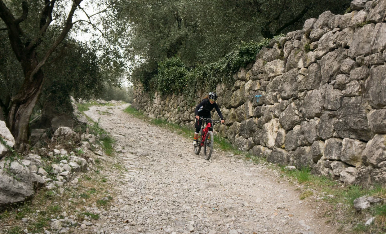 Accanto alla gola del Rio Sallagoni | © Archivio Garda Trentino (ph. Marco Giacomello), Garda Trentino 
