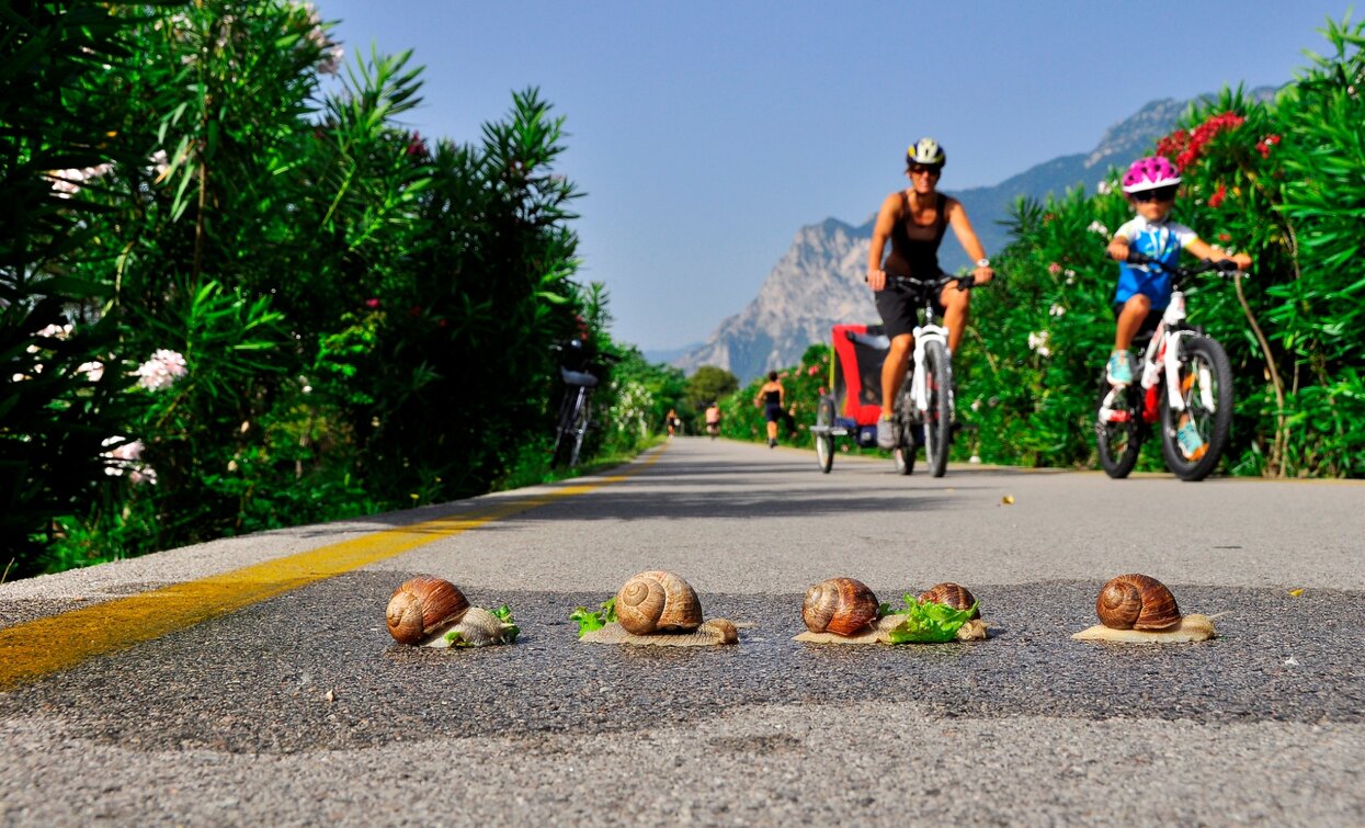 Mit Kindern auf dem Radweg entlang des Flusses Sarca fahren | © Archivio APT Garda Trentino (ph. G. Baldessari), Garda Trentino