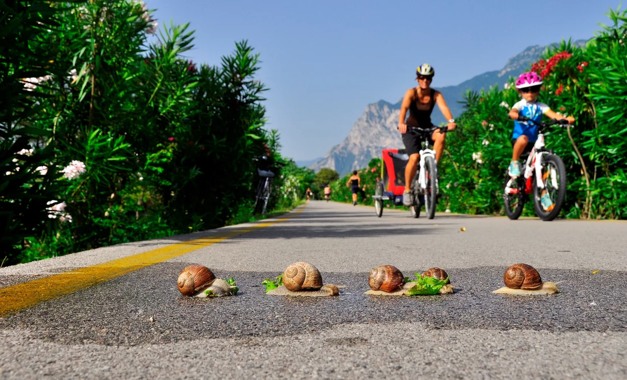 Riding with kids on the cycle path along river Sarca | © Archivio APT Garda Trentino (ph. G. Baldessari), Garda Trentino