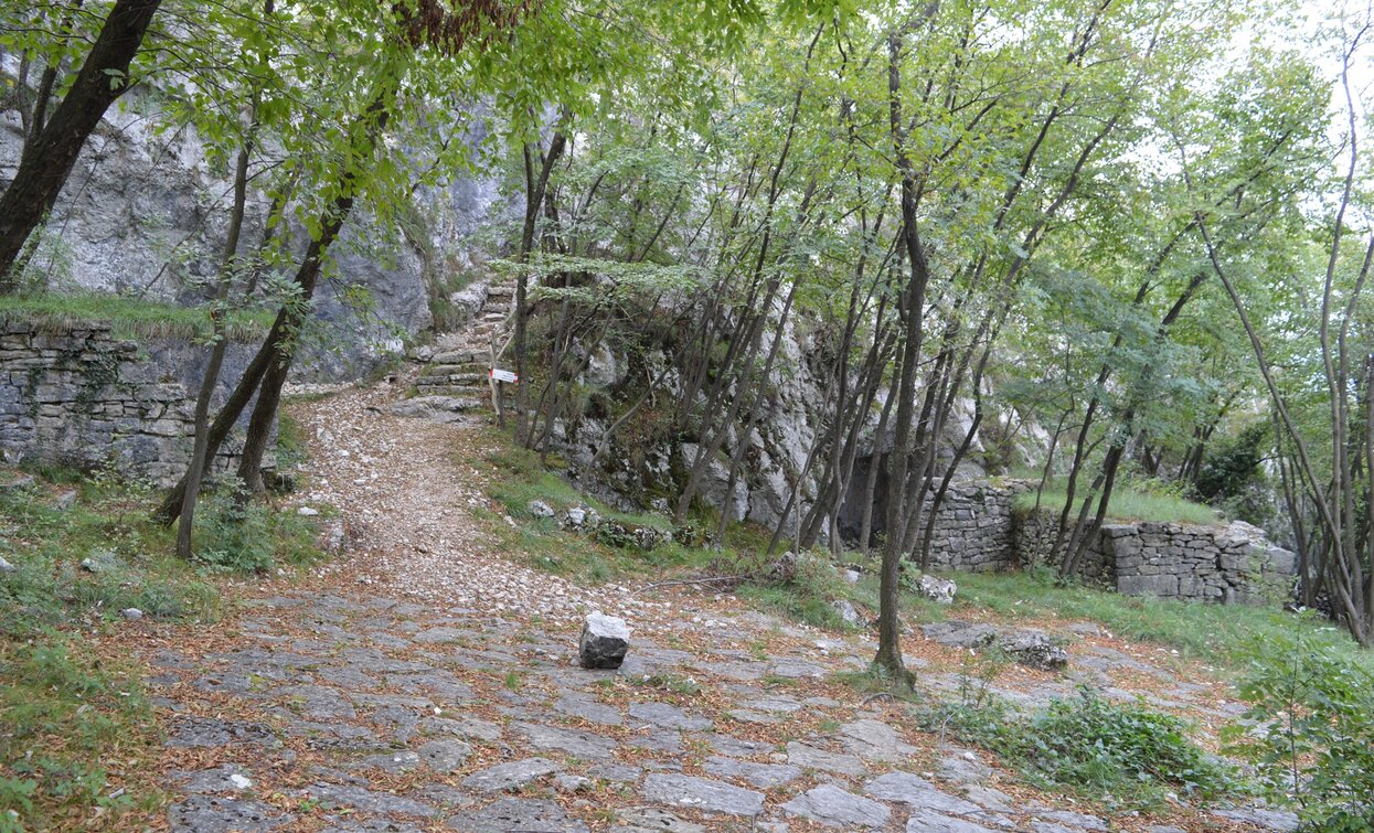 Lungo il sentiero 601 verso il Segrom | © A. Pizzato - montagnadiviaggi.it, Garda Trentino 