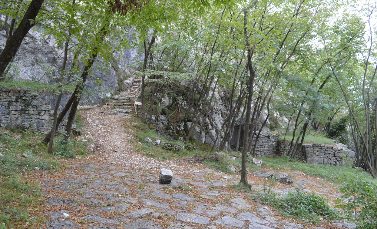 Along path 601 towards Segrom | © A. Pizzato - montagnadiviaggi.it, Garda Trentino