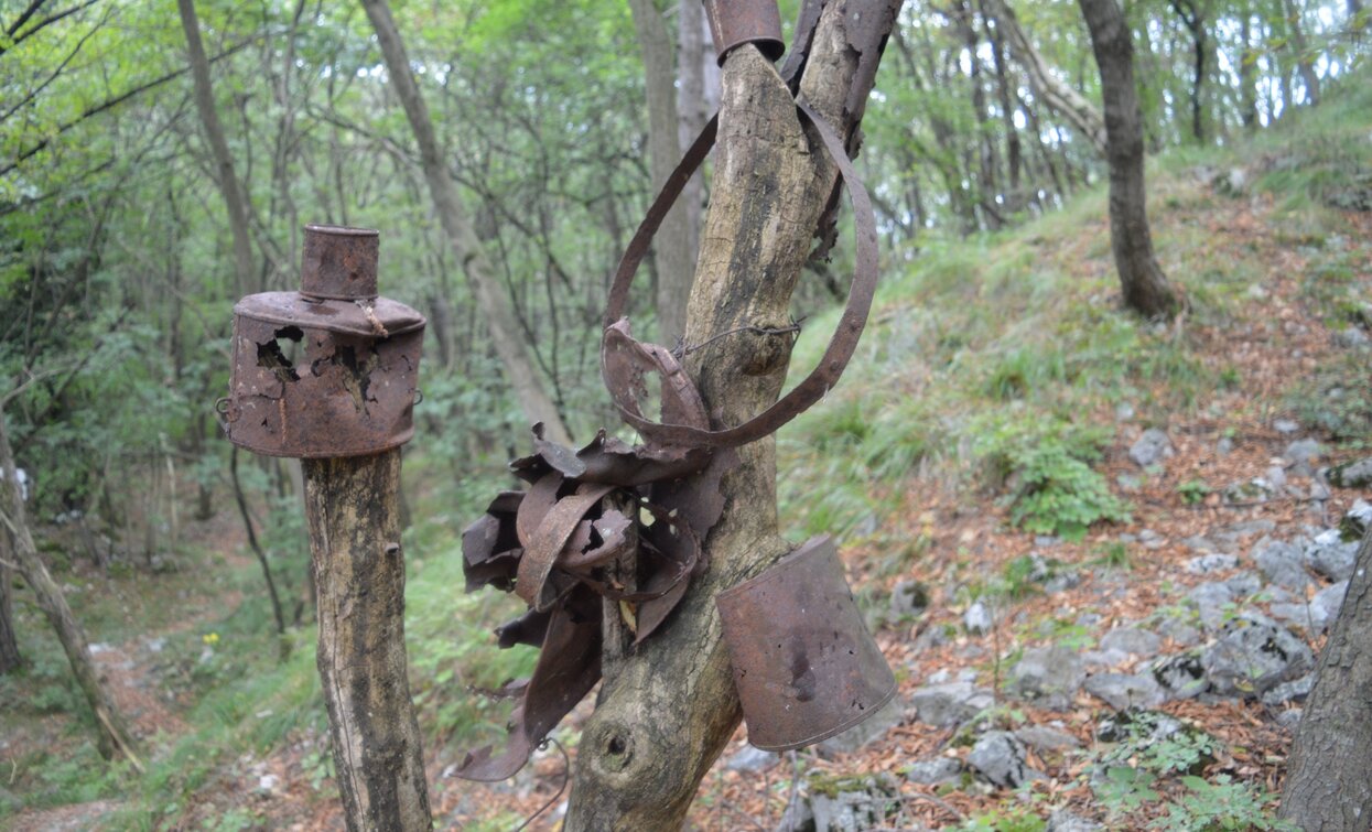 Testimonies of the Great War on the path towards Dosso Alto | © A. Pizzato - montagnadiviaggi.it, Garda Trentino