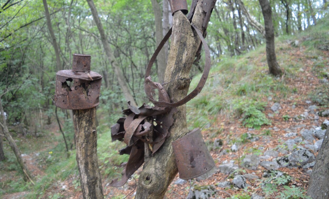 Great War testimonies on the trail to Dosso Alto | © A. Pizzato - montagnadiviaggi.it, Garda Trentino 