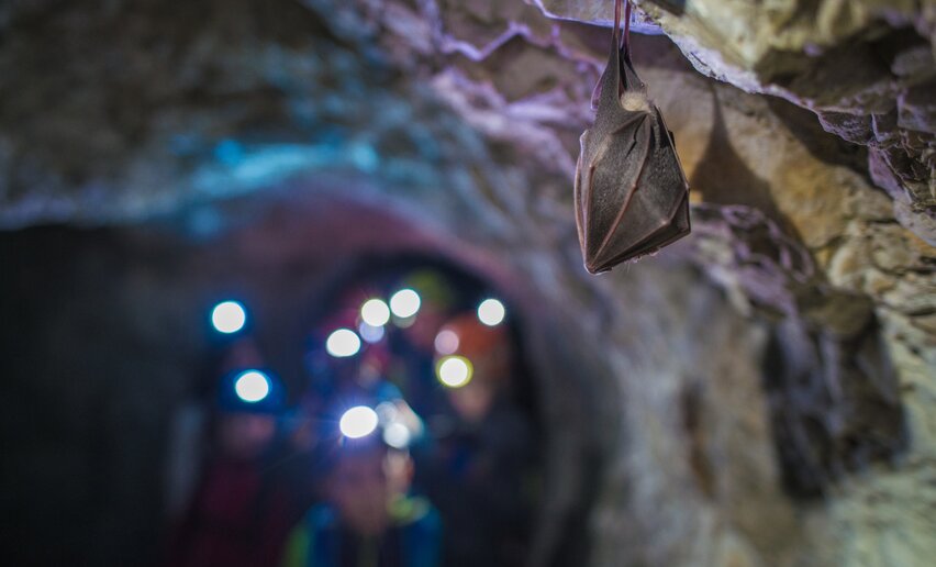 In den Tunneln vor der Cima Rocca | © G.P. Calzà ©APT Garda Trentino , Garda Trentino  In den Tunneln vor der Cima Rocca | © G.P. Calzà ©APT Garda Trentino , Garda Trentino