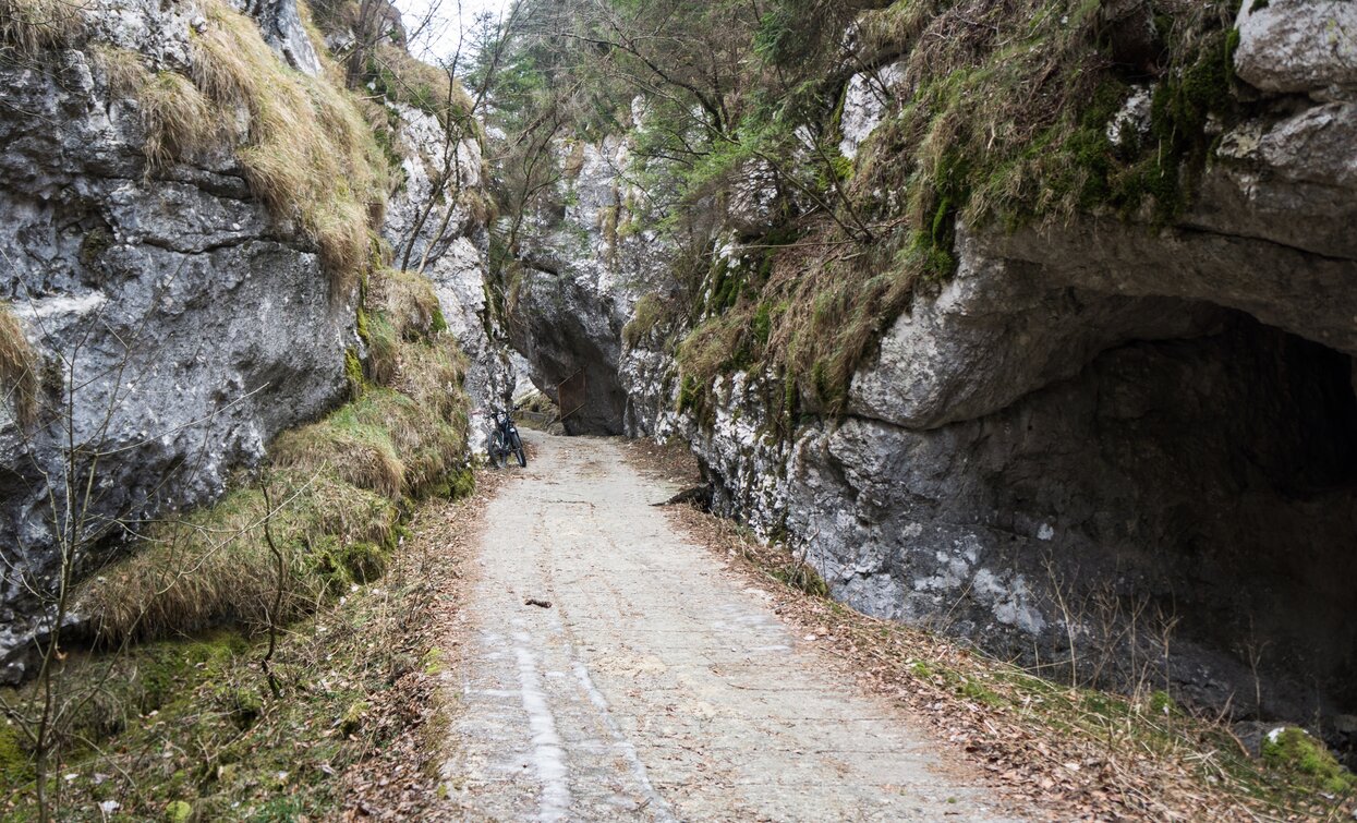 Eine Strecke des Aufstiegs von Leano zu Passo Guil | © Archivio Garda Trentino (ph. Marco Giacomello), North Lake Garda Trentino 