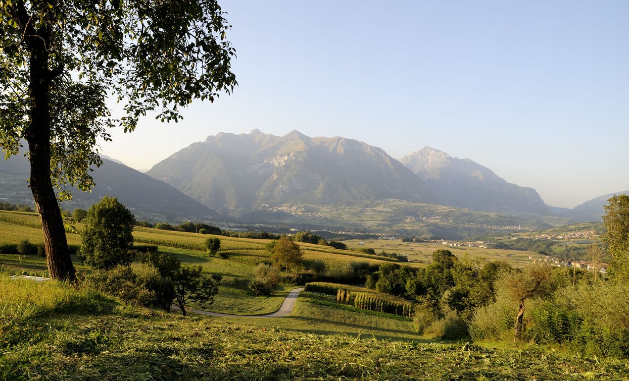 View of the Val Lomasona | © Fototeca Trentino Sviluppo (ph. D. Lira), Trentino Sviluppo foto di B. Bolchi View of the Val Lomasona | © Fototeca Trentino Sviluppo (ph. D. Lira), Trentino Sviluppo foto di B. Bolchi