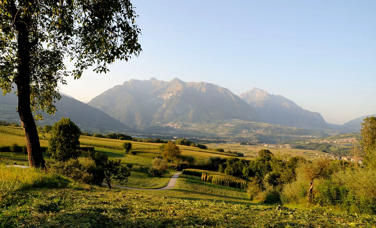 View of the Val Lomasona | © Fototeca Trentino Sviluppo (ph. D. Lira), Trentino Sviluppo foto di B. Bolchi