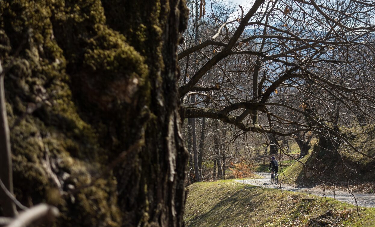 Castagneto | © Marco Giacomello, Garda Trentino 