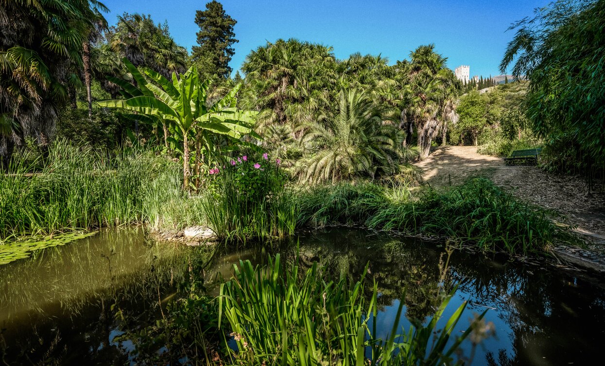 Das Arboretum in Arco | © Archivio Garda Trentino (ph. Mattia Bonavida), Garda Trentino 