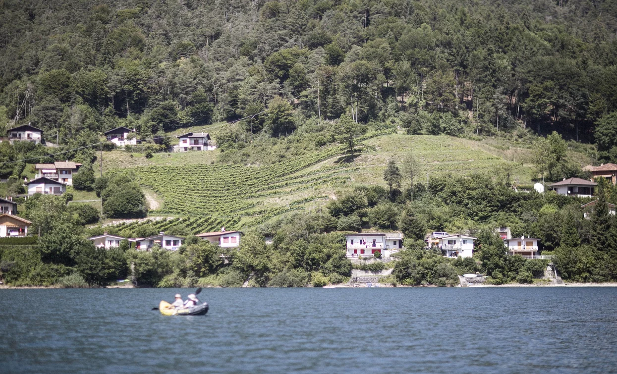 Vineyards in Pur on the shores of Lake Ledro | © Archivio Garda Trentino (ph. Watchsome), North Lake Garda Trentino 