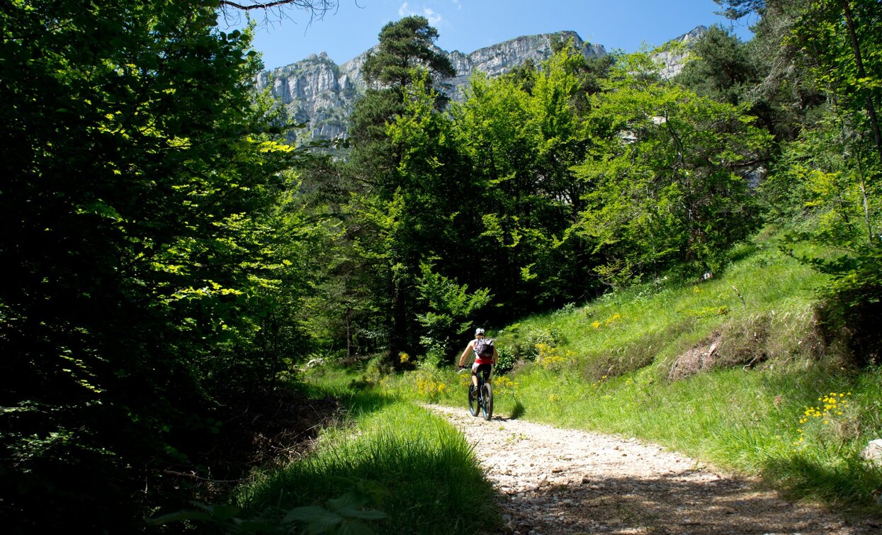 Val di Gresta | © ApT Rovereto Vallagarina Monte Baldo - Prodotto Outdoor, Garda Trentino 