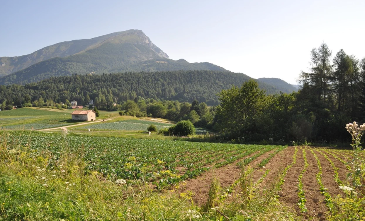 Berg Creino - Val di Gresta | © ApT Rovereto Vallagarina Monte Baldo, Rovereto Vallagarina e Monte Baldo