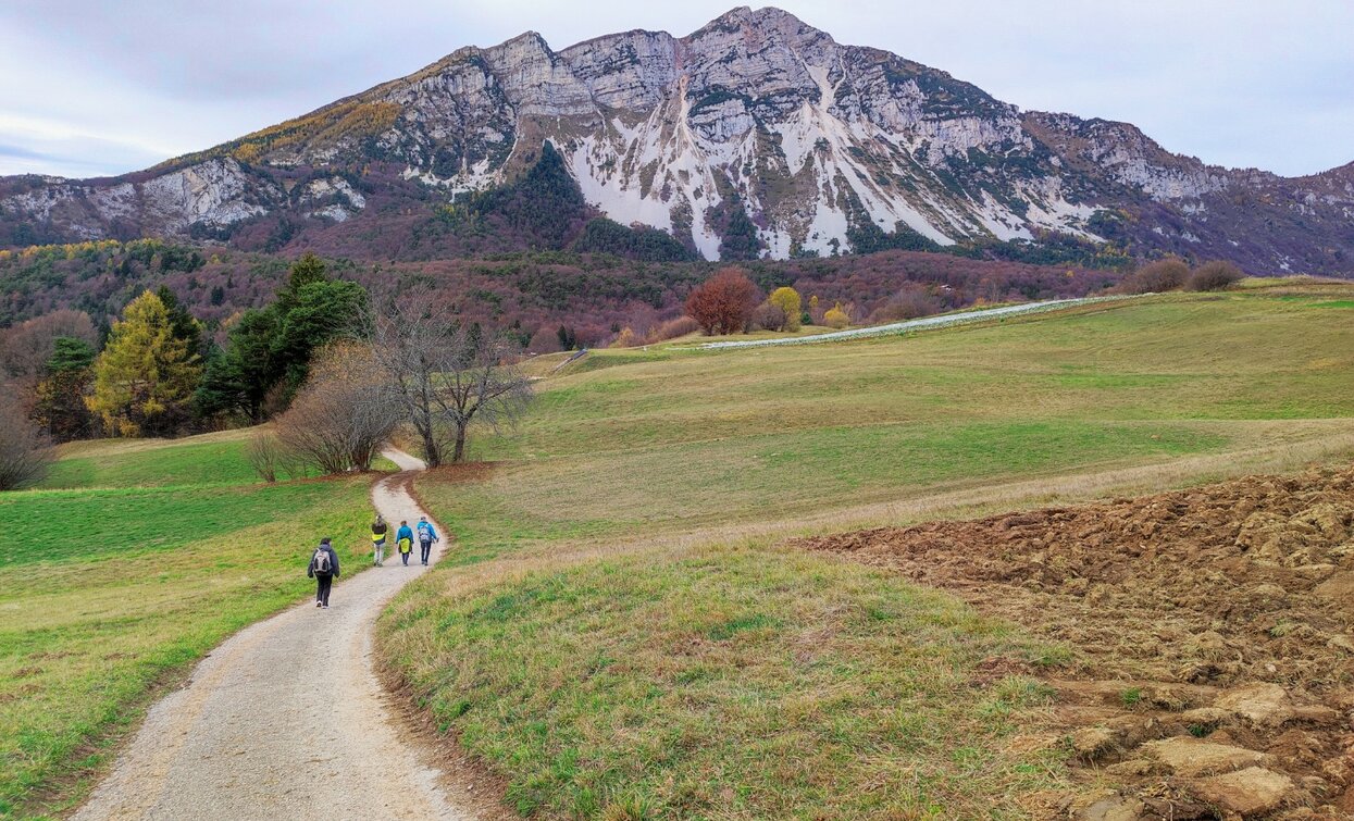 Monte Stivo 1. Etappe San Rocco | © ApT Rovereto Vallagarina Monte Baldo - Prodotto Outdoor, Rovereto Vallagarina e Monte Baldo