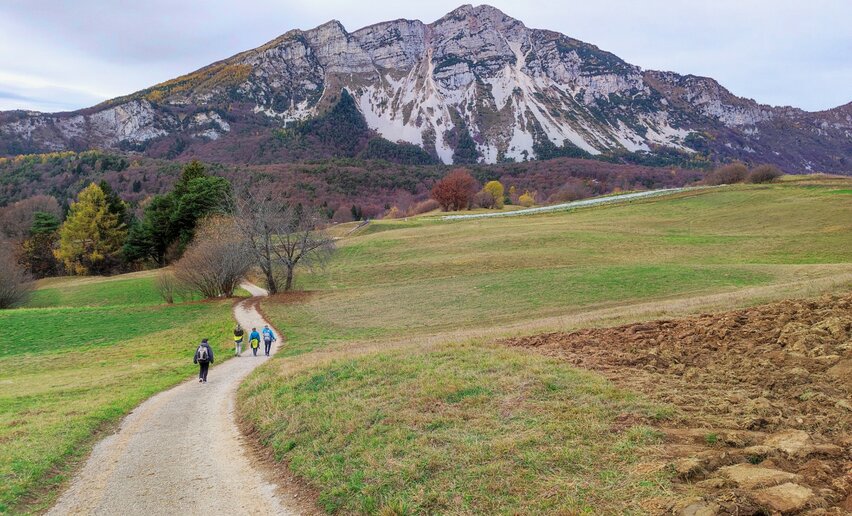 Monte Stivo 1. Etappe San Rocco | © ApT Rovereto Vallagarina Monte Baldo - Prodotto Outdoor, Rovereto Vallagarina e Monte Baldo