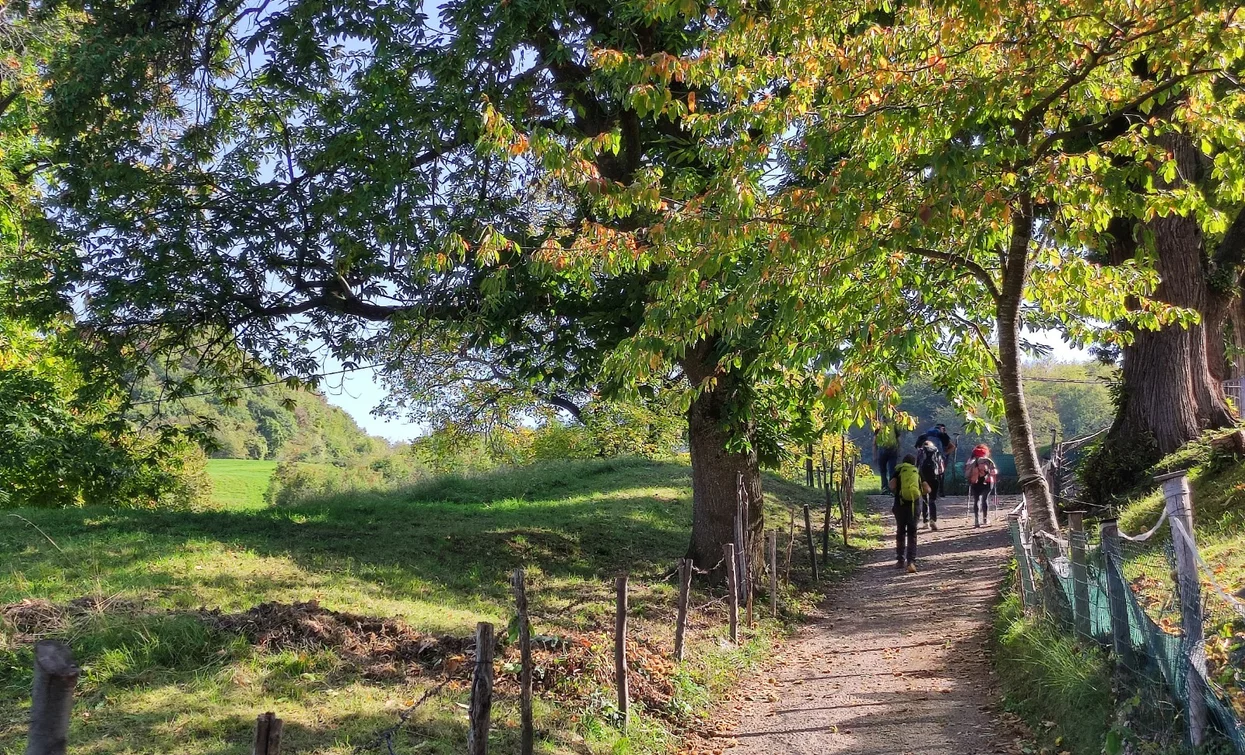 © ApT Rovereto Vallagarina Monte Baldo - Prodotto Outdoor, APT Rovereto Vallagarina Monte Baldo