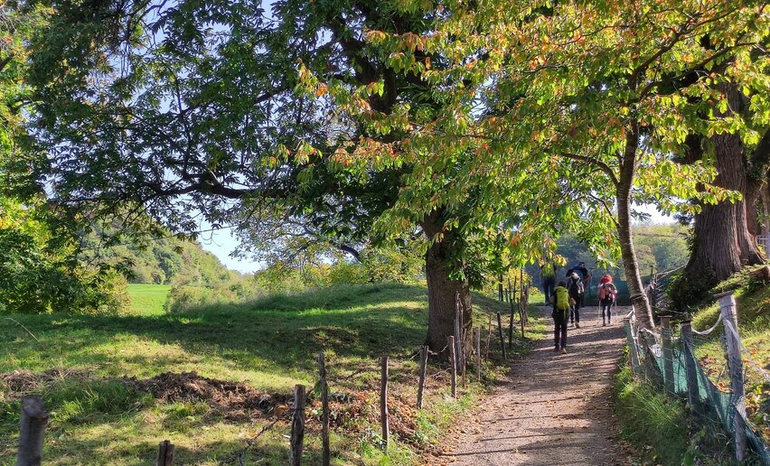 © ApT Rovereto Vallagarina Monte Baldo - Prodotto Outdoor, Rovereto Vallagarina e Monte Baldo