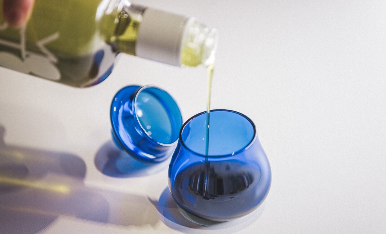 Ölverkostung | © Archivio Garda Trentino (ph. Tommaso Prugnola), Garda Trentino 