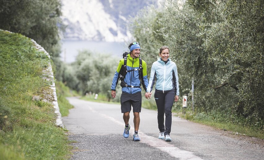 Through the olive groves of Brione