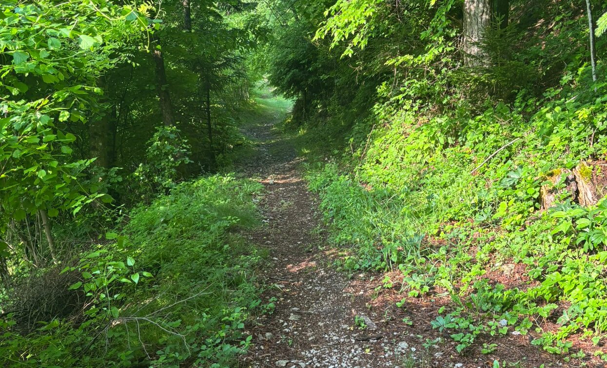 Ledro Trek Medium Sentiero di Caronte | © Staff Outdoor GardaTrentino SO, Garda Trentino 