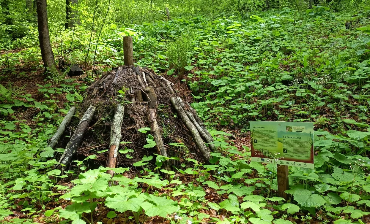 Percorso Lost Tale | © Staff Outdoor GardaTrentino SO, Garda Trentino 