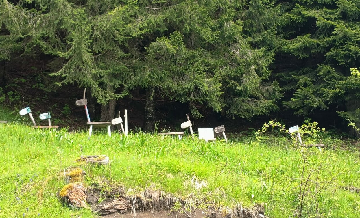 Percorso Lost Tale | © Staff Outdoor GardaTrentino SO, Garda Trentino 