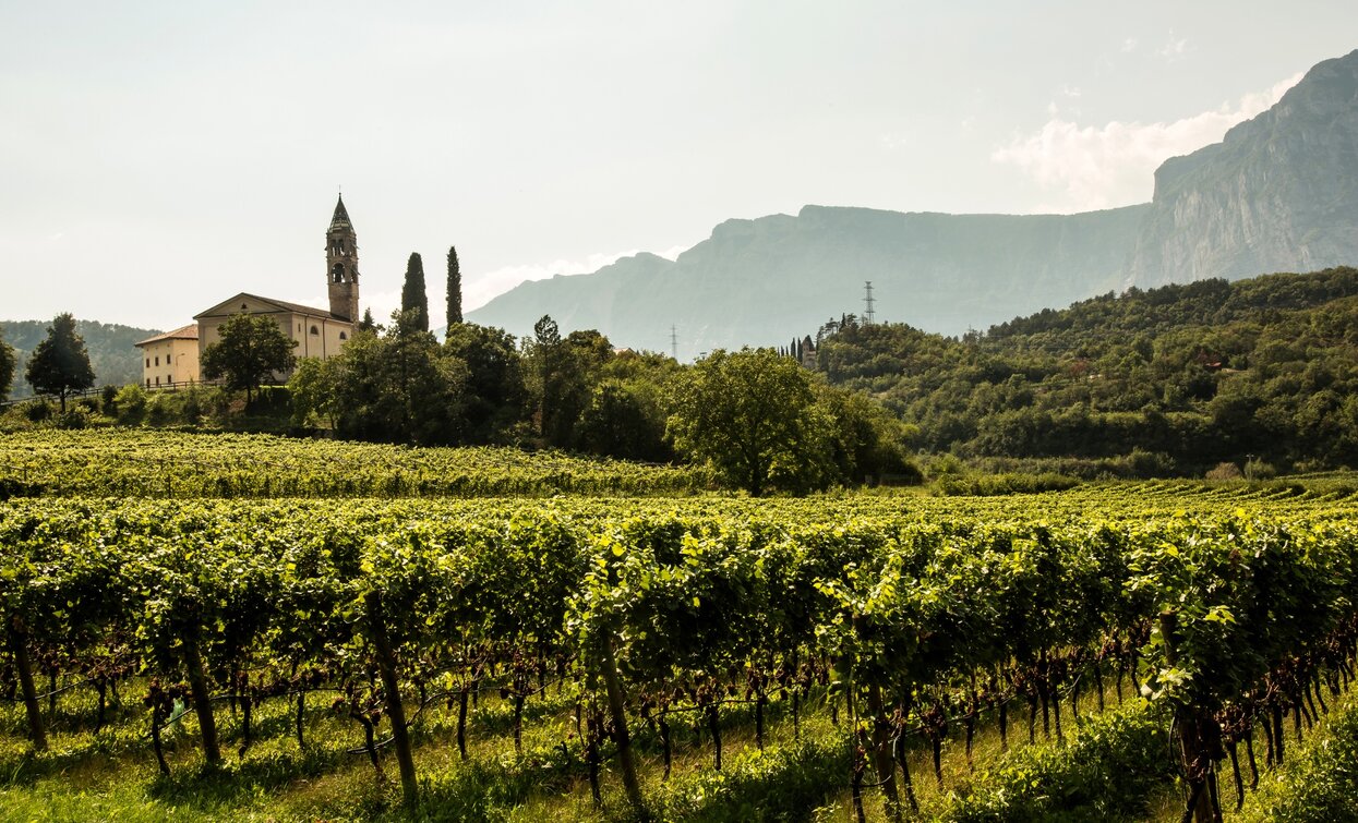 © VisitTrentino TGP