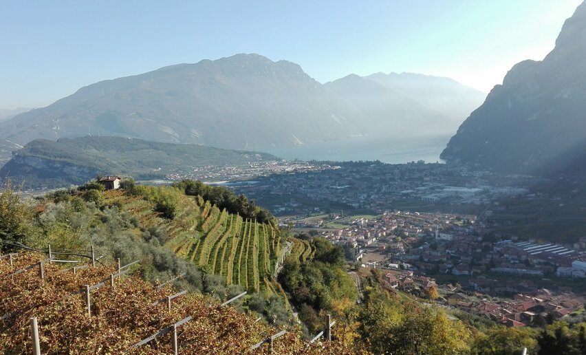 The vineyards of Tenno | © LaValeBellotti , Garda Trentino 