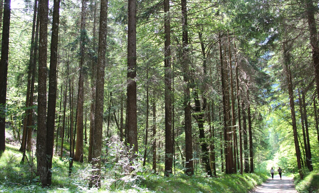 Natural path from Val Concei | © Staff Outdoor Garda Trentino AC, Garda Trentino 