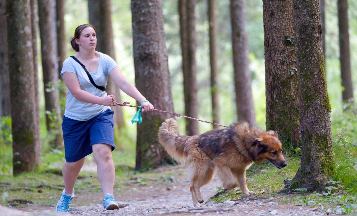 Spaziergang im Wald | © Roberto Vuilleumier, Garda Trentino 