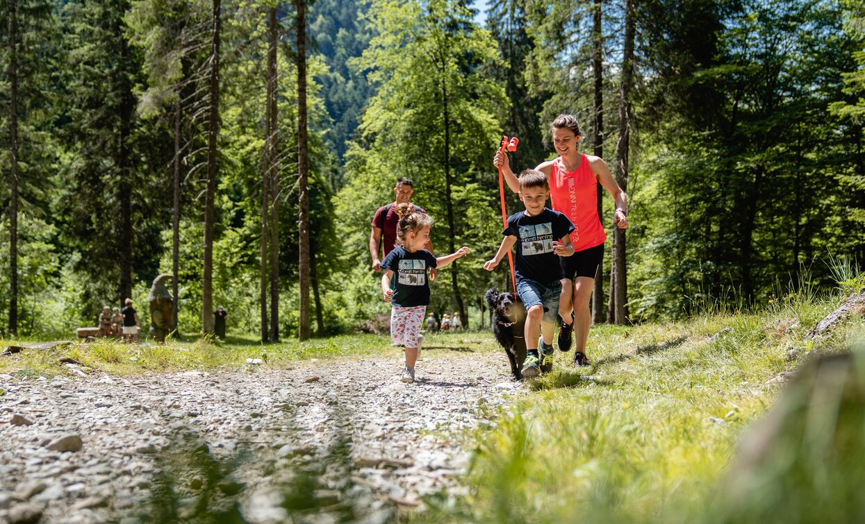 Spaziergang auf dem Naturlehrpfad im Talgrund | © Alice Russolo, Garda Trentino 