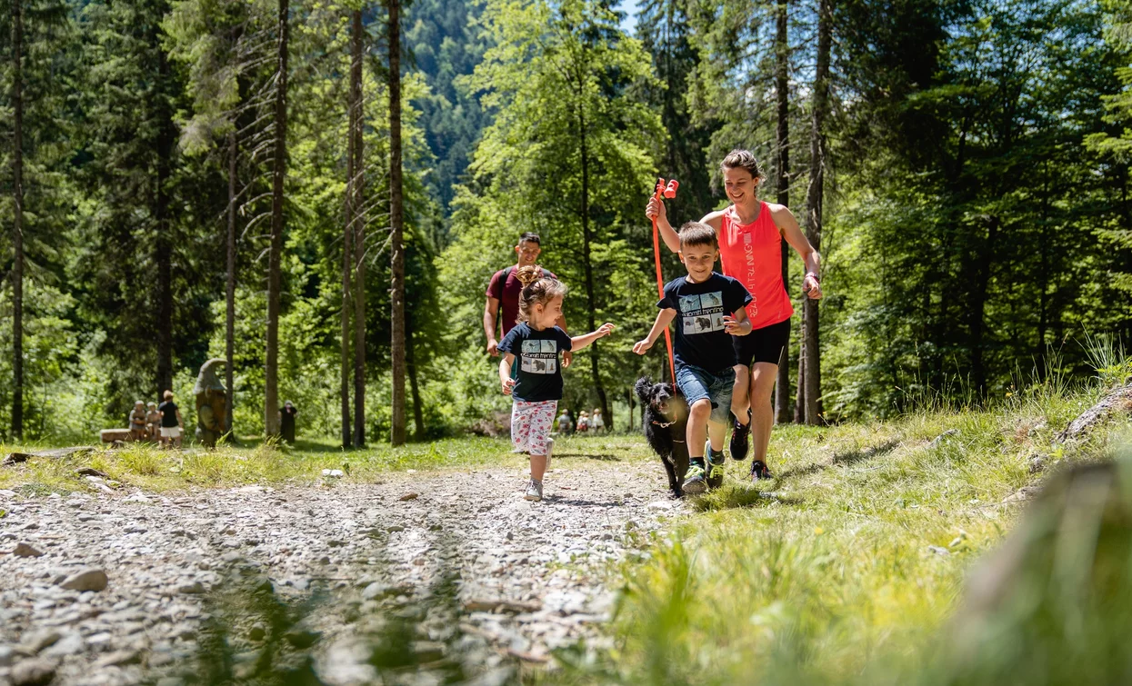 Passeggiata nel sentiero naturalistico di fondovalle | © Alice Russolo, Garda Trentino 