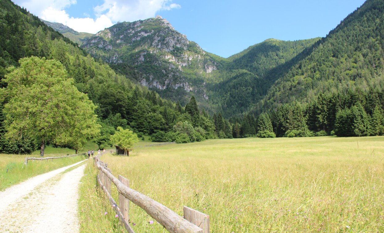 Sentiero naturalistico - località Perigol | © Staff Outdoor Garda Trentino AC, Garda Trentino 