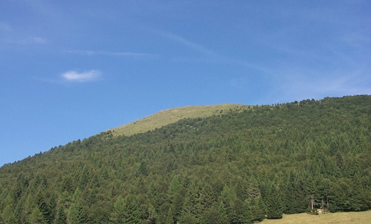 Malga Stabio Cima Sera | © APT Terme di Comano Dolomiti di Brenta, P. Serafini