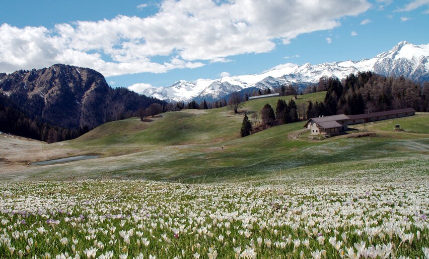 malga Stabio | © APT Terme di Comano Dolomiti di Brenta, Garda Trentino  malga Stabio | © APT Terme di Comano Dolomiti di Brenta, Garda Trentino