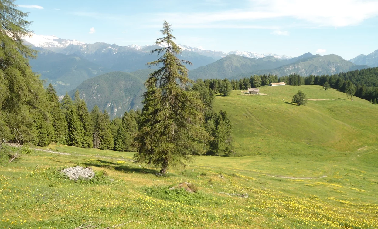 Wanderung zur Malga Stabio | © APT Terme di Comano Dolomiti di Brenta, Garda Trentino 