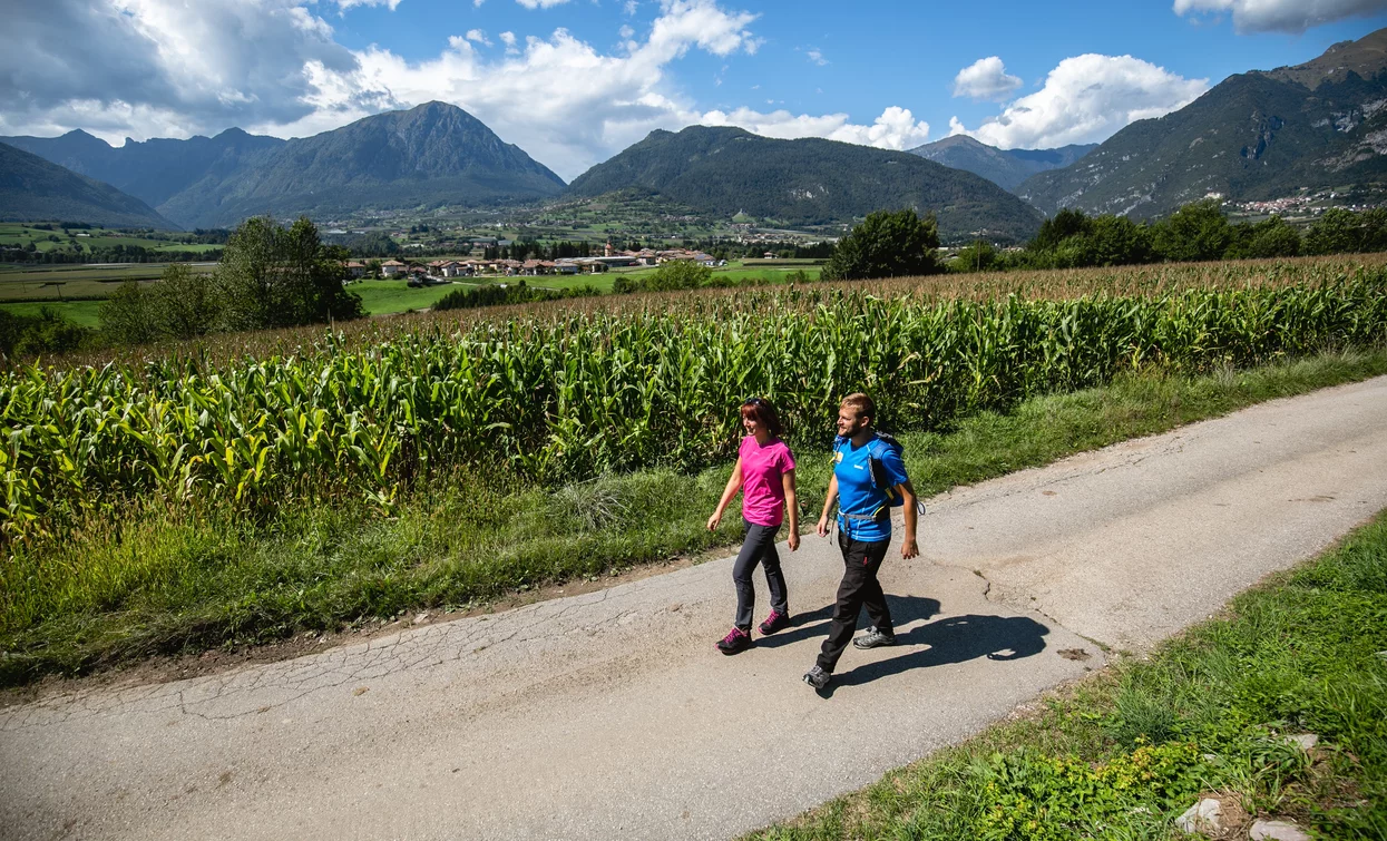 Nella campagna del Lomaso | © Fototeca Trentino Sviluppo foto di A. Russolo, Garda Trentino 