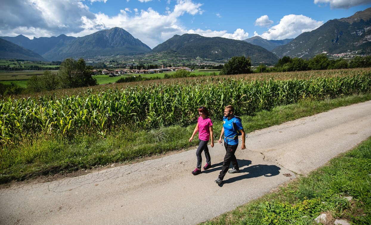 Auf dem Land rund um Lomaso | © Fototeca Trentino Sviluppo foto di A. Russolo, Garda Trentino