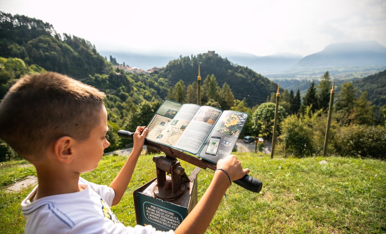 At the Garden of Flora of Stenico | © Fototeca Trentino Sviluppo foto di A. Russolo, Garda Trentino 