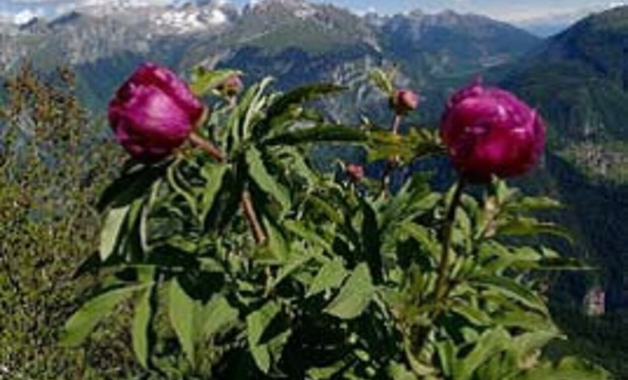 Vista dal Passo della Morte | © APT Terme di Comano Dolomiti di Brenta, Garda Trentino 