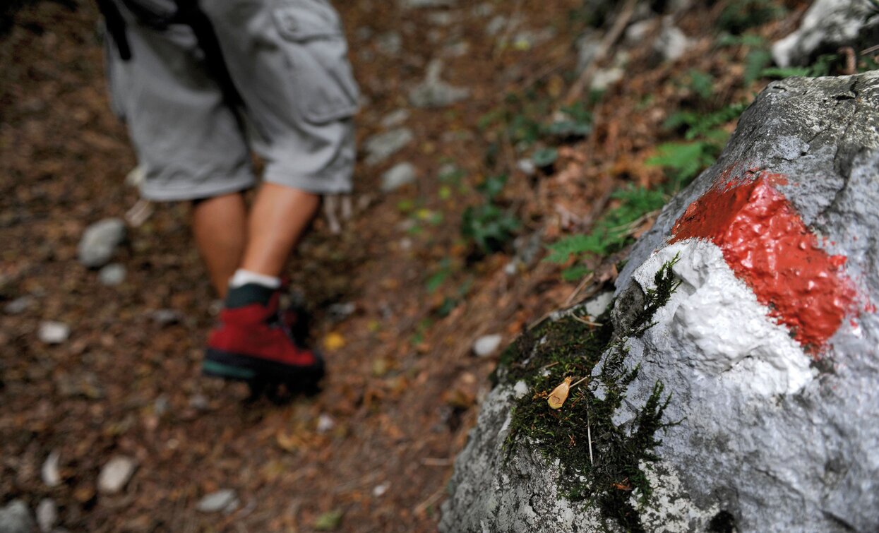 Escursioni in montagna | © Staff Outdoor Garda Trentino VN, Garda Trentino 