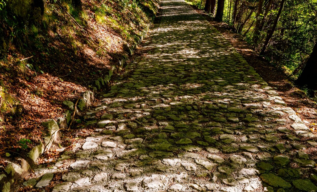 Road towards Deggia | © Fototeca Trentino Sviluppo foto di L. Gaudenzio, Garda Trentino 